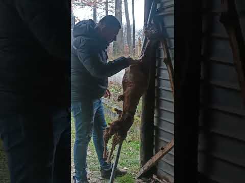 Darko Lazić i Sloba Vasić meze janje #darkolazic #sloba #live #danchoi #naturalisasi