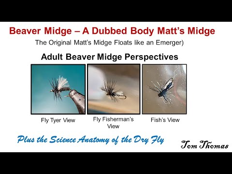 Tying the Adult Beaver Midge Fly Pattern.  "Matt's Midge" with a Dubbed body for Better Buoyancy.