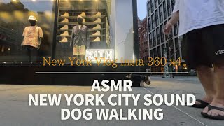 ASMR New York City Sound Dog walking -Subway  china Town Kith Union Square ニューヨーク犬散歩