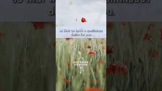 Download lagu Immaculate Heart of Mary Prayer #shorts mp3 Download lagu Immaculate Heart of Mary Prayer #shorts mp3