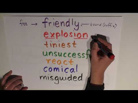 Morphology Episode 2 Free vs Bound Morphemes