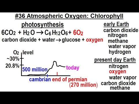 Can You Believe It 27 What is Time