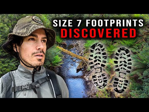 Following the Footprints — The Search for Céline Cremer