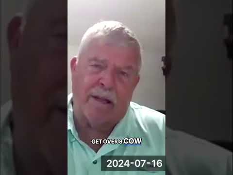 Dangerous Electrical Faults: How a 240 Volt Face-to-Face Arc Sparks Disaster