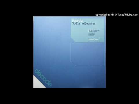 Poloroid - So Damn Beautiful (Dogzilla Remix)