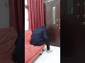 VIDEO LUCU SUAMI JADI SPIDERMAN PAKE BRA ISTRI Viral Trending Shorts Videolucu