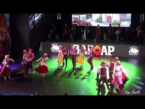 Gala de Ballet Folclórico de Arica y Parinacota 2025 (4)