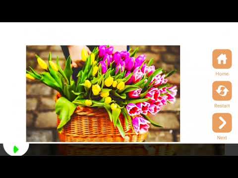 Wonderful Flowers Puzzle Video