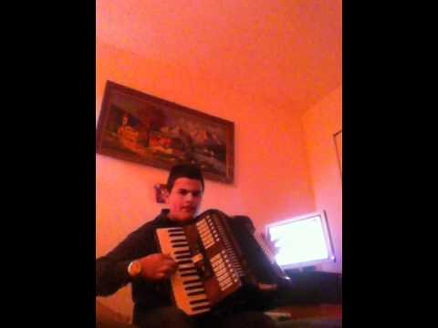 delian de la radovan si bogdan de la radovan