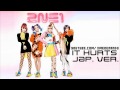 2NE1 - IT HURTS JAPANESE [PREVIEW] 