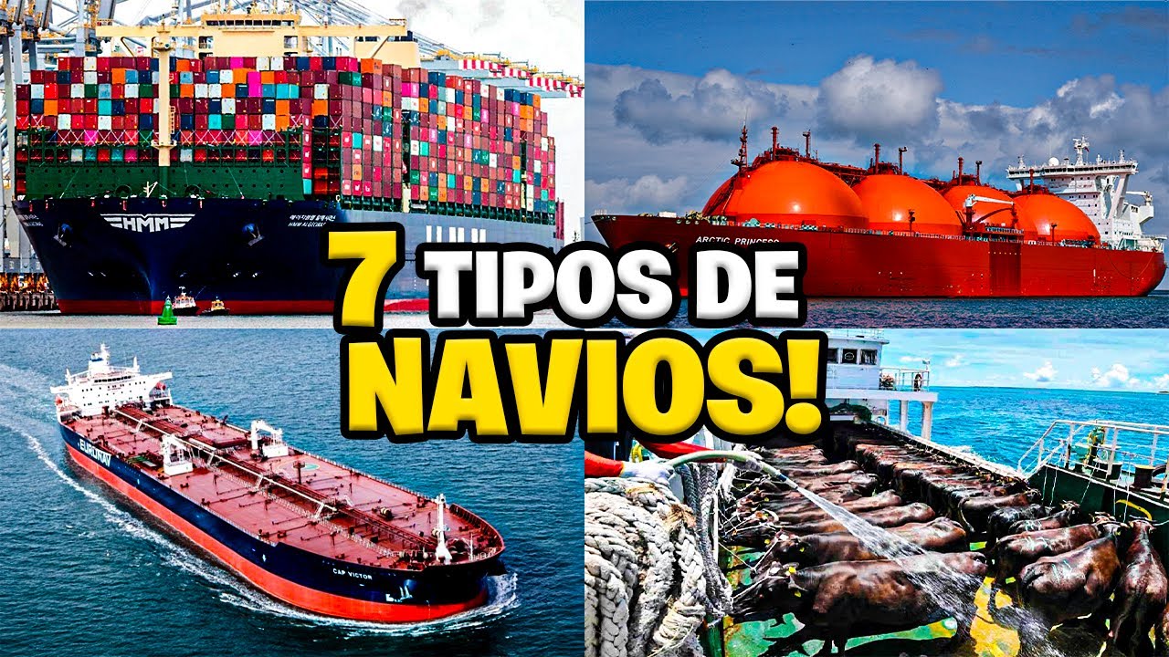 7 TIPOS DE NAVIOS DE CARGA ALÉM DO CONTAINER 😱🚢 #navio #curiosidades #shipping