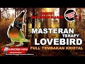Masteran Suara Lovebird Kasar Full Tembakan Speed Rapat Dengan Suara Air Jeda Sangat Efektif