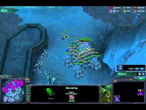 Burrowed Banelings :(