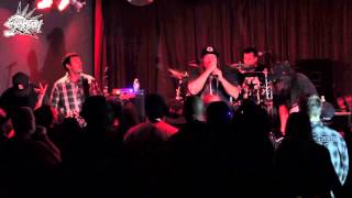 Sprung Monkey - La Fee Verte - Mr Narcissistic