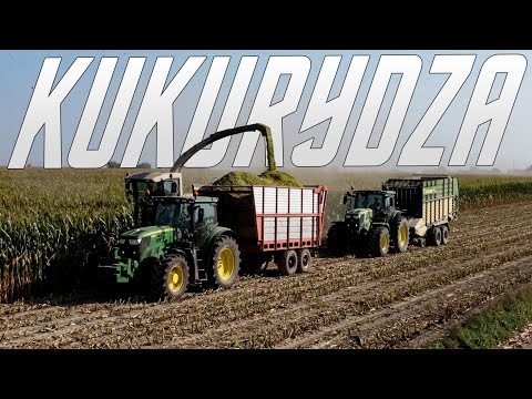 KUKURYDZA NA KISZONKĘ 8X JOHN DEERE ★GR RATAJCZYK & UR BERLAK★