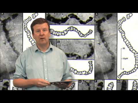 1.2. ASTROBIO - History of Astrobiology