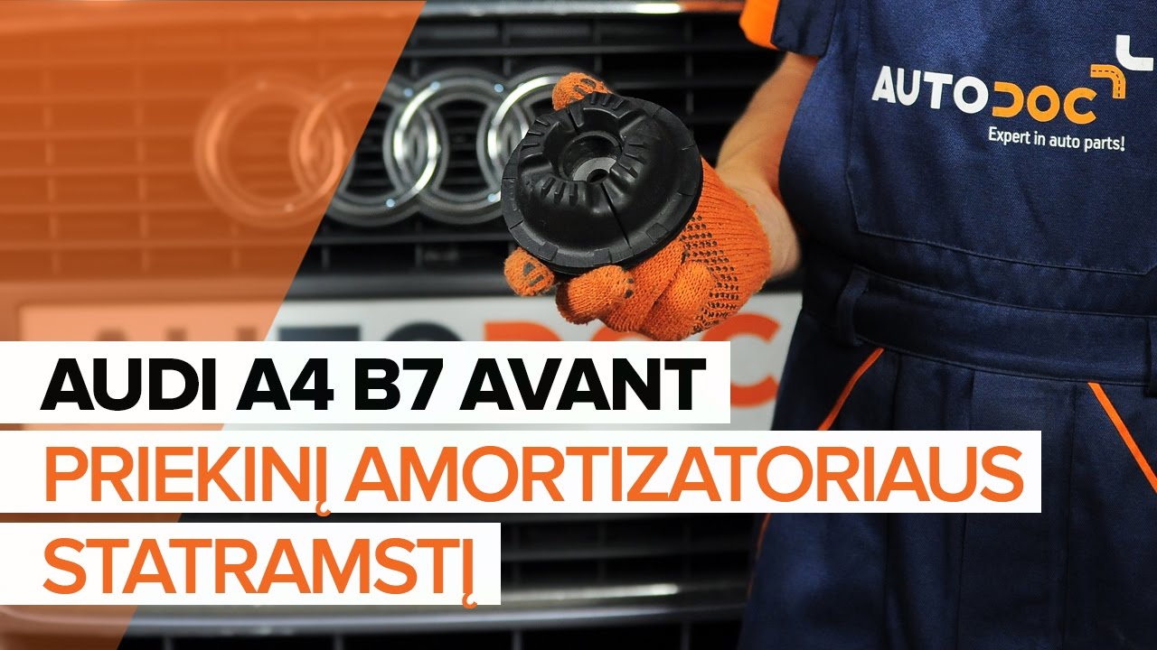 Kaip pakeisti Audi A4 B7 Avant atraminio guolio: priekis - keitimo instrukcija