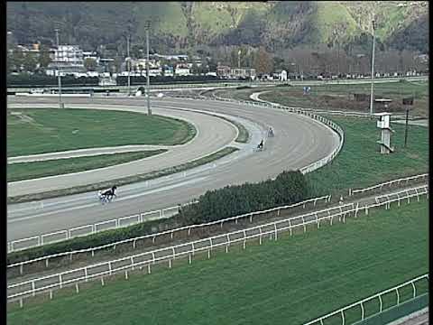 Trotto 23/11/2018 - prova di qualifica