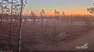 Madona Municipality · Varakļāni · LVM Purvs · Bog live stream