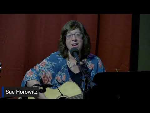 Promotional video thumbnail 2 for Sue Horowitz