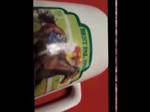 1993 BEST PAL Hollywood Park Gold Cup