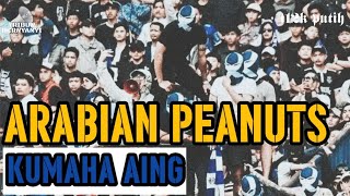 Download lagu KUMAHA AING & lirik [[~ ARABIAN PEANUTS ~]] Bandungfans/Persibfans mp3