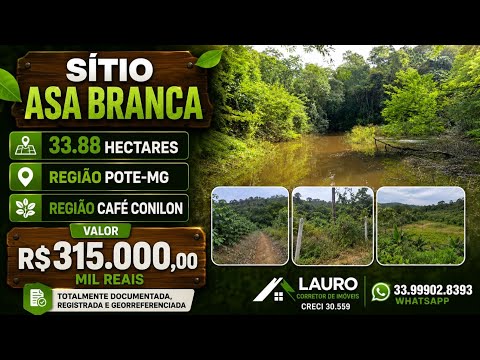 🚨 OPORTUNIDADE RURAL 45 MIL REAISO ALQUEIRE! SÍTIO COM NASCENTES E REPRESA EM POTÉ-MG 💧🌱