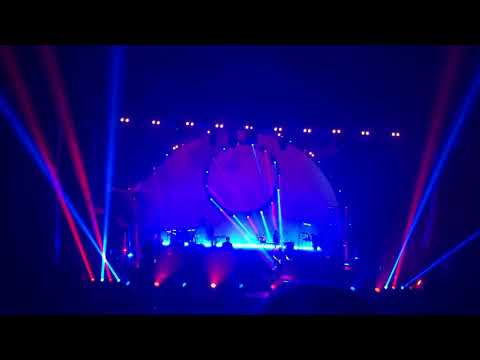 Pigs (Three Different Ones) - Brit Floyd