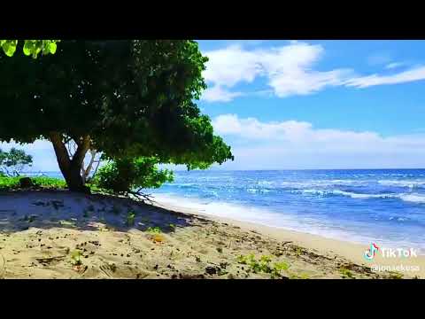 Nila Guvai - George Telek New Hittz 2023