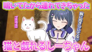 【マイクラ】配信中に猫と戯れるしーちゃんがかわいすぎる【にじさんじ　小清水透】