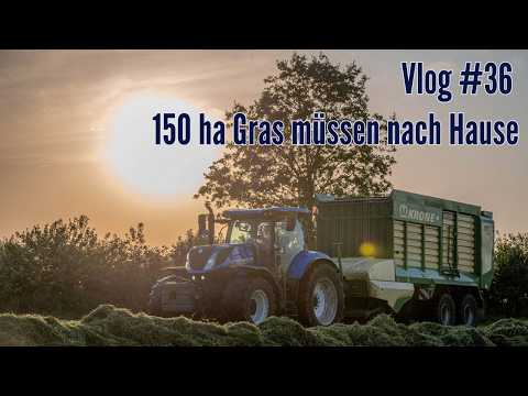 Farm-Vlog #36 150 ha Gras und 40 Ha Stroh müssen vor dem nächsten Regen geborgen werden