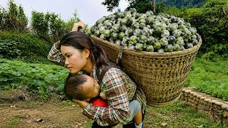Download lagu Harvesting Fresh Toad Fruit… Making Spicy Salted Toad Fruit for the Market! mp3