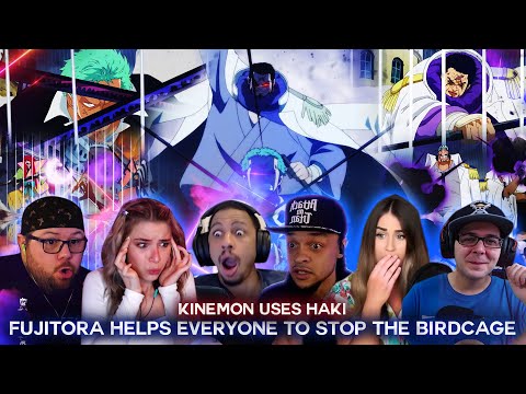 Fujitora Helps Everyone To Stop The Birdcage ! Reaction Mashup