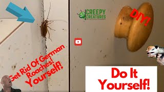 How To Get Rid Of German Roaches  [Use ONLY This]
