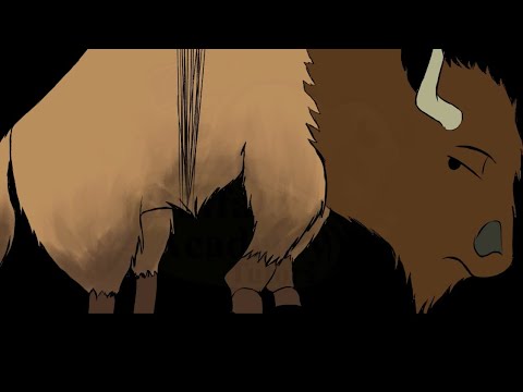 Statistics Lesson 26 Part 3: Correlation Coefficient & Coefficient of Determination with Examples