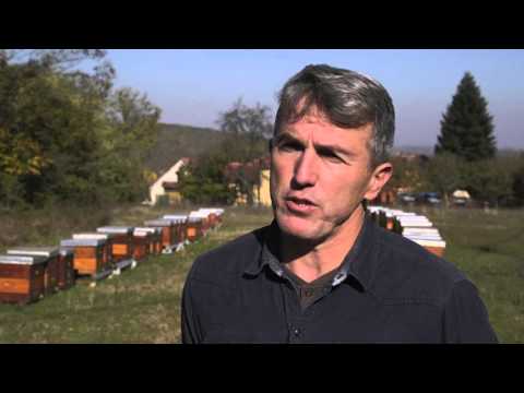 Uzgoj pcela i proizvodnja meda u Cacanskoj opstini   U nasem ataru 622