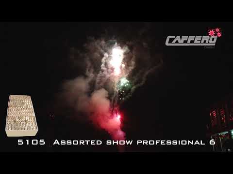 5105 Assorted show professional 6