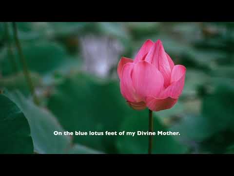 Blue Lotus Feet | Paramhansa Yogananda | Keyboard | Arpeggio