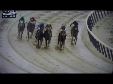 MIKE LEE S,G STAKES $125,000 2017 - T LOVES A FIGHT !!!