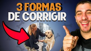 3 FORMAS CERTAS DE CORRIGIR O SEU CACHORRO