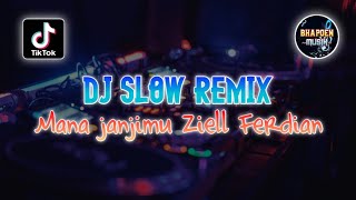 Download lagu DJ SLOW REMIX MANA JANJIMU PADAKU ZIELL FERDIAN REMIX VIRAL TERBARU mp3