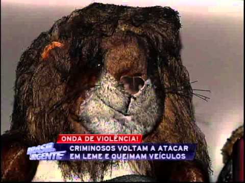 Brasil Urgente Campinas 16 11 2012 - bloco 02