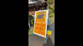 Japan’s Most Magical Village |魔法の白川郷 #travel #short #shorts #explore #feed  #vlogs #asmr #shortvideo