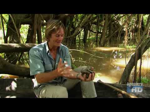 Austin Stevens - Snakemaster - In Search of the Giant Anaconda