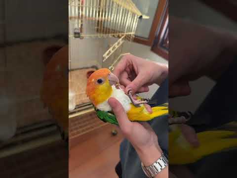 Hepsi iyiydi de kızımdan yanlışlıkla biraz fazla aldık