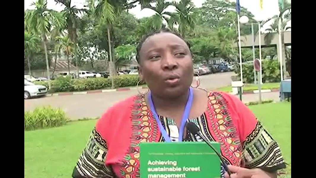 Criteria and Indicators for sustainable forest management - Experience in South Africa