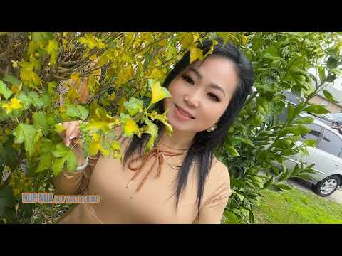 Nub Nua Kuv Yog Tug Quaj 12-31-2025