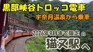 【2026年9月まで限定】黒部峡谷トロッコ電車で猫又駅へ！通常は降りられない秘境駅で記念撮影　宇奈月温泉から絶景旅　富山県黒部市