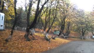 Sevinc Musayeva Dozmur Urek