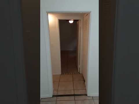 2231 Spring - - Video 2 of 2